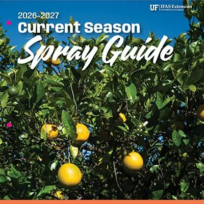 thumbnail for publication: 2026–2027 Florida Citrus Production Guide: Citrus Leafminer